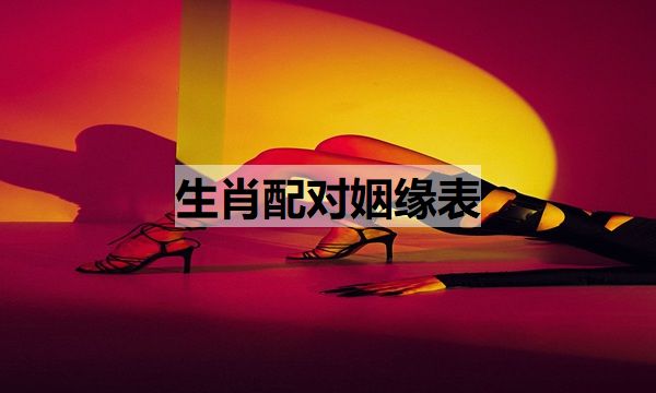 生肖配对姻缘表(12生肖配对姻缘表)