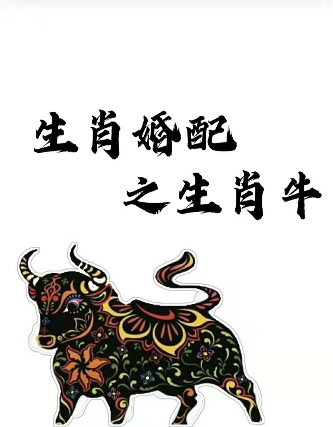 生肖牛跟什么属相配对适合