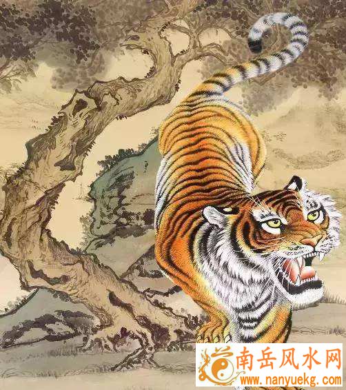 属虎的和什么属相最配、相克
