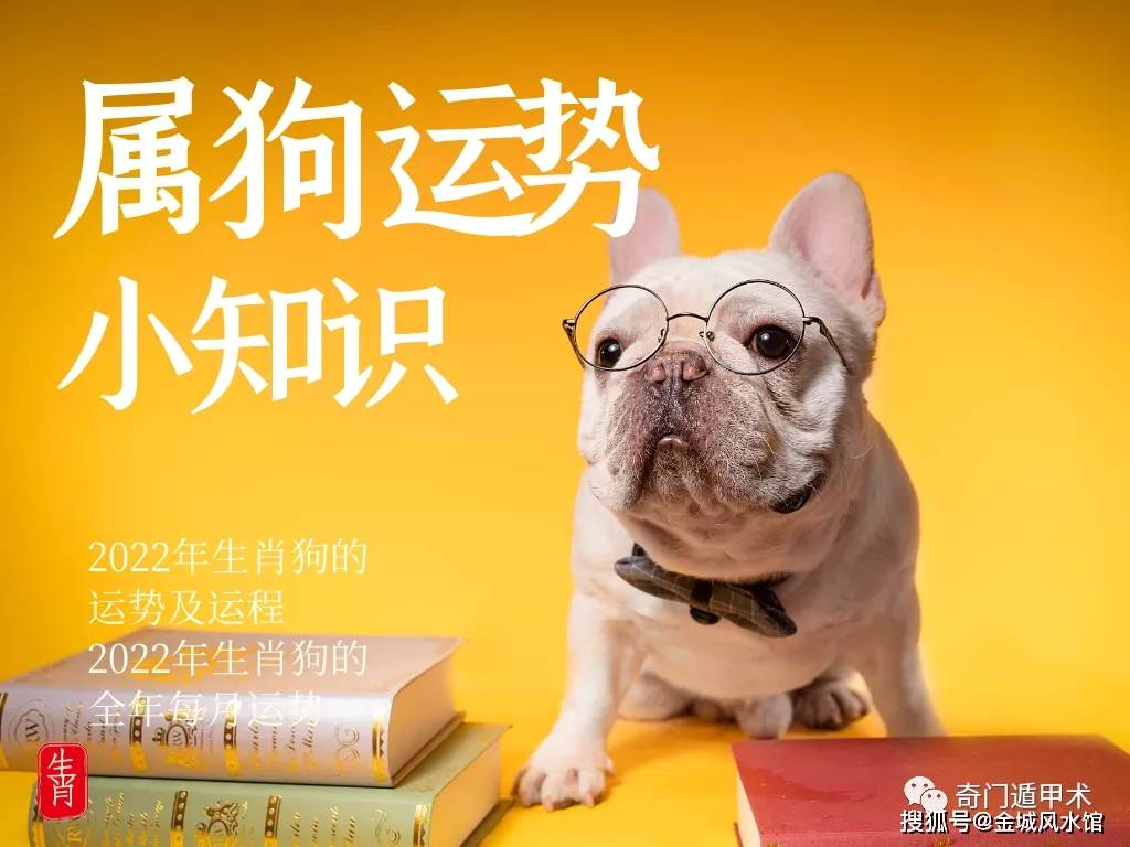 一九五八年属相生肖配对