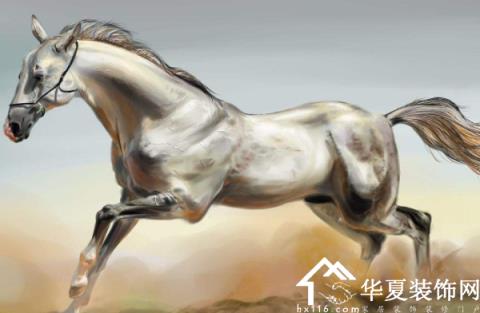 生肖牛和什么属相配对最好