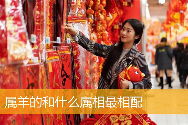 心地善良的一最佳生肖属相配对