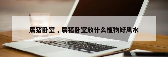 属猪卧室 , 属猪卧室放什么植物好风水