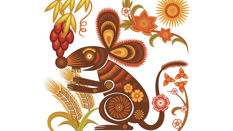 属鼠女人的弱点