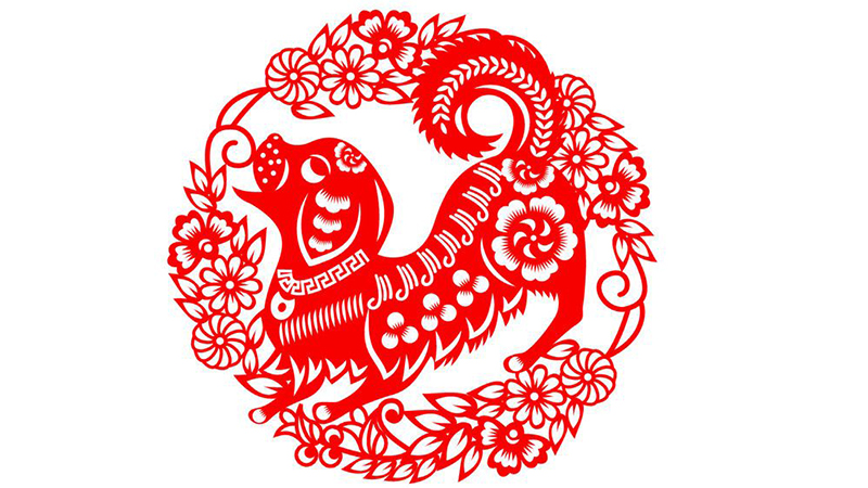 属狗的几月出生好