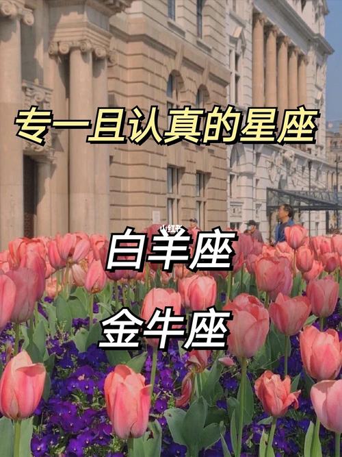 金牛座今日爱情运势白羊座