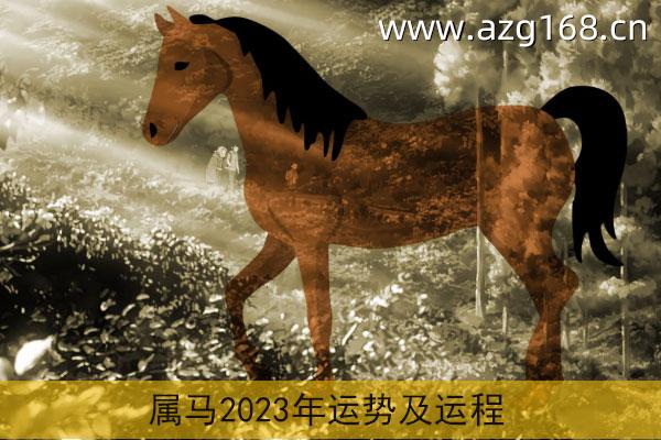 属马的今日日运势