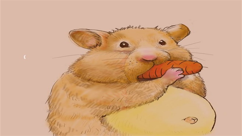 属虎和属鼠合财吗