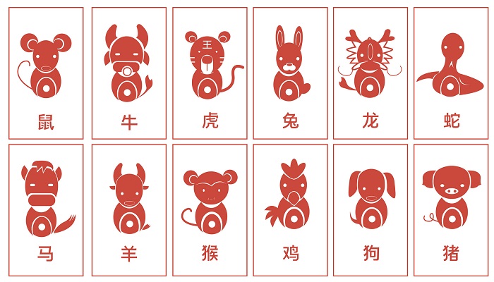 呆若木鸡是什么生肖