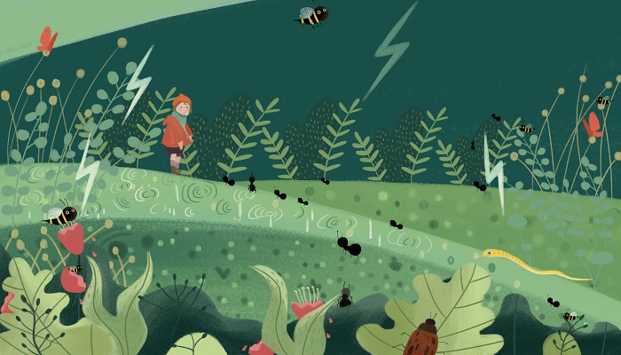 三更半夜金鸡叫是什么生肖