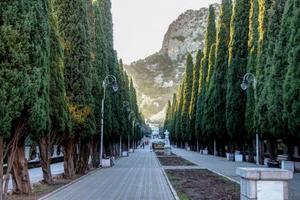 属猪的女孩夏天出生取名字推荐