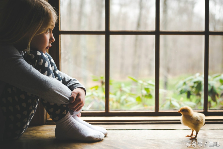 十二星座下周（10.29-11.4）爱情运势，前三名：双鱼，白羊，天蝎