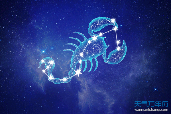 十二星座爱情运势最新