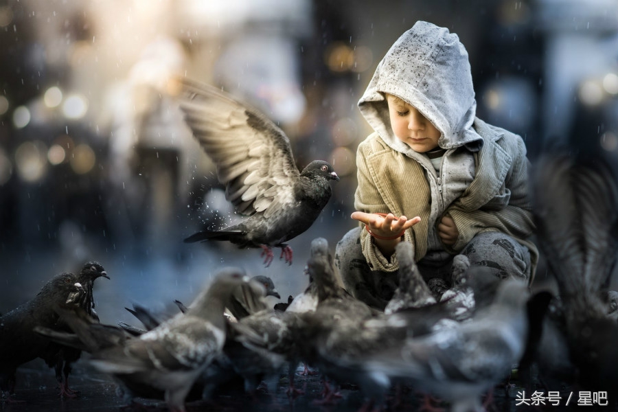 十二星座下周（10.29-11.4）爱情运势，前三名：双鱼，白羊，天蝎