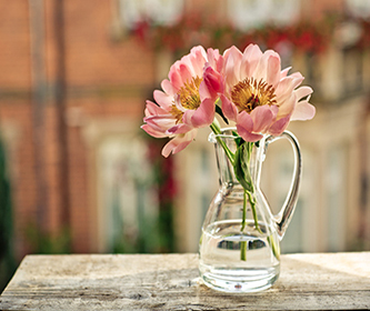 星座爱情运,2018年星座爱情运势,