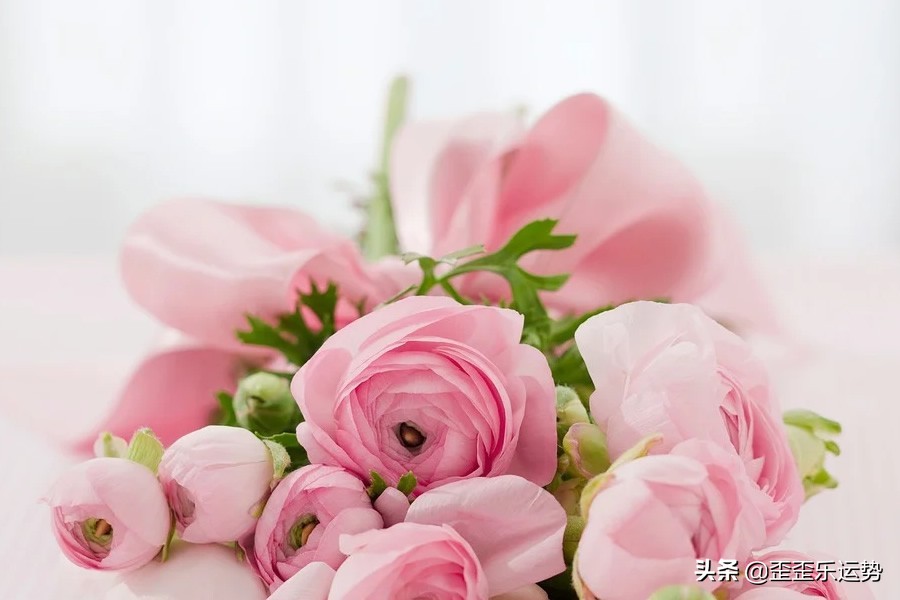 2.28-3.6十二星座感情运势，双子爱情温馨和谐，天秤座桃花多多