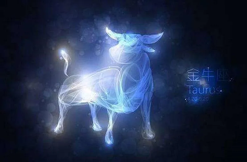 星座爱情运势一周