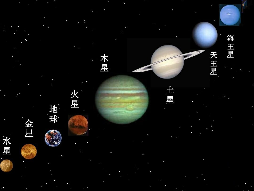 爱情运势金星星座