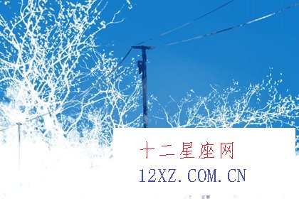 属猪人的婚姻好吗 属猪男与十二生肖配婚结果
