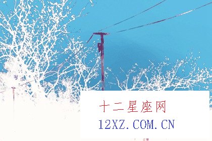 十二生肖婚姻配对大全  十二生肖有哪些最好的婚姻配对
