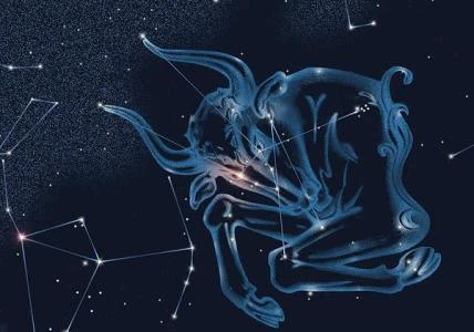 十二星座12月爱情运势