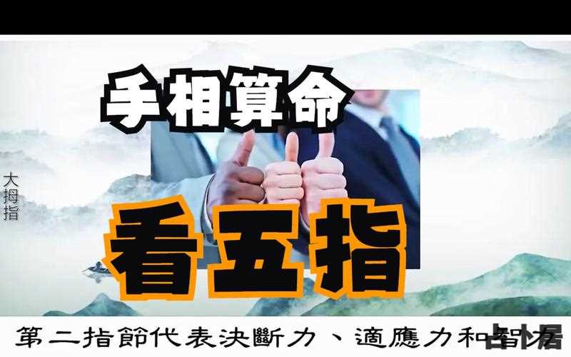 拍照看手纹算命,拍照看手掌纹算命运