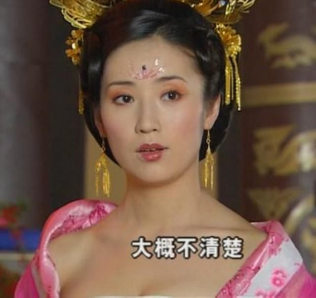 永宁公主是武则天的女儿吗_武则天是什么星座_武则天选男宠是第几集