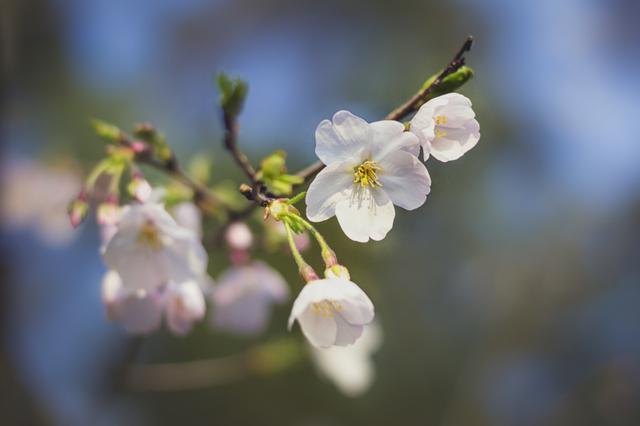 40岁金牛男对待感情