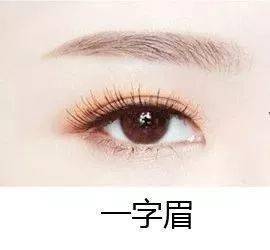 女一字眉面相分析