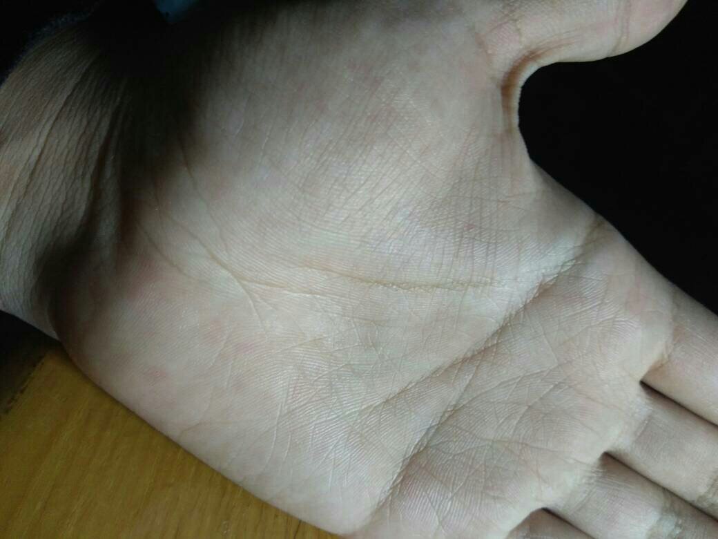 手掌有方格是什么意思